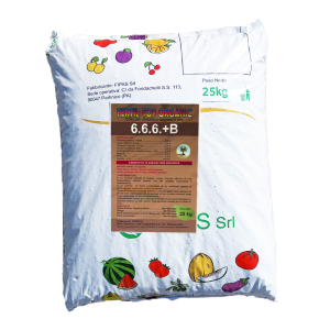 FERTIL TOP ORGANIC NPK 6.6.6 + B Pellet